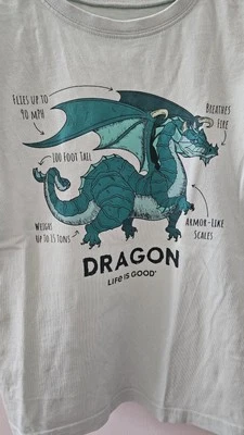 Camiseta Life Is Good Boys verde menta trituradora de dragones talla M Foto 1 de 4