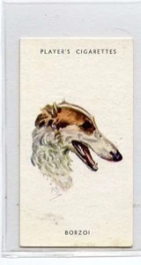 (Jg297-100) Spieler, Hundeköpfe, Borzoi, #4 - Bild 1 von 2