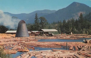 Sawmill and Log Pond OR Oregon Postcard E230 - Picture 1 of 2
