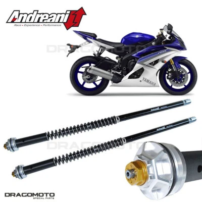 YAMAHA YZF-R6 2017-2020 cartuccia ANDREANI 105/Y49E MISANO EVO Foto 1 de 4