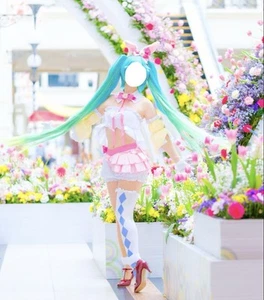 Hatsune Miku 2Nd Season Spring Ver. Cosplay Costume - Picture 1 of 2