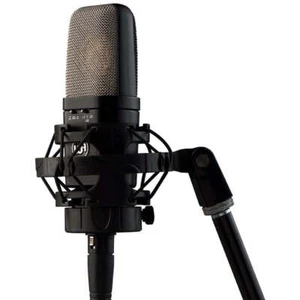 Micrófono condensador de diafragma grande de audio cálido WA-14 - Imagen 1 de 5