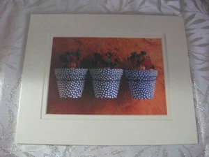 PRINT-ANNE GEDDES -" BABIES IN FLOWER POTS" -8" X 10" DOUBLE MATTED -PORTAL-NEW - Picture 1 of 1