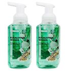 Foaming Hand Soap MADE WITH ESSENTIAL OILS - 11 Fl Oz - 2-Pack (Eucalyptus Woods