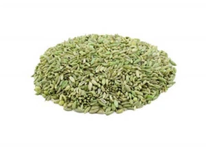 Aiva Fennel Seeds Whole - Picture 1 of 18