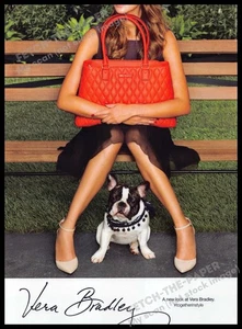 Vera Bradley 2010s Magazine Print Ad 2014 Legs French Bulldog Park Bench - Picture 1 of 1