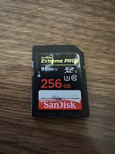 SanDisk 256GB Extreme PRO SDXC 4K Ultra HD Camera Memory Card - Picture 1 of 1