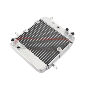 Motorcycle 19010-KTB-003 Engine Cooling Radiator For HONDA PS250 Big Ruckus 2006 - Picture 1 of 5