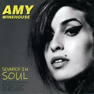 Amy Winehouse - Soaked In Soul: Live At Eurorockeennes De Belfort, France June 2 - Picture 1 of 2