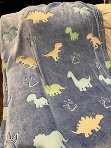 Glow In The Dark Dinosaur Blanket Soft Fleece Throw Blanket 40"x60" Washable New - Picture 1 of 8