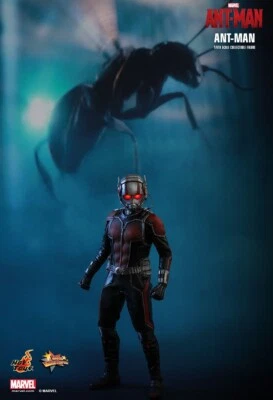 Hot Toys, Marvel, Ant-Man, Movie Masterpiece, MMS 308, 1/6 Scale, Action Figure - Bild 1 von 4