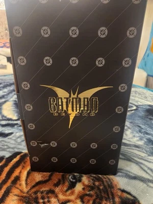 Estátua WARNER BROS BATMAN BEYOND:ANIMATED MAQUETTE #705 com COA e CAIXA DC Direct - Imagem 1 de 4