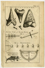 Antique Print-SHARK-JACOB'S LADDER-CRICKET-Buys-1770