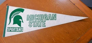 NCAA Michigan State University Spartans Pennant Flag Banner - Picture 1 of 3