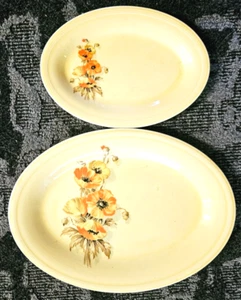 Set di due piatti decorativi semi vitrei China Co USA - Foto 1 di 4