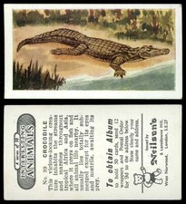 Crocodile #39 Interesting Animals 1954 Neilson's Card