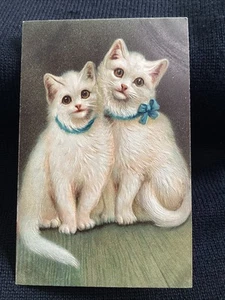 EXQUISITE weiße KATZEN KÄTZCHEN PFB Vintage geprägte Postkarte blauer Kragen antik - Bild 1 von 2
