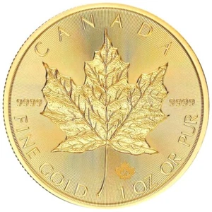 2025 1 oz Canadian Gold Maple Leaf $50 Coin 9999 Fine Gold BU - Picture 1 of 2