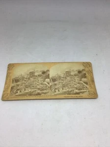 Original 1889 American Genre Comic Instantaneous Photography Train Wreck - Picture 1 of 4