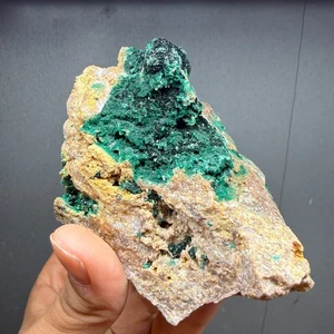 Primary Malachite Crystal on Matrix 362g – From Zaire (DR Congo) - Picture 1 of 9