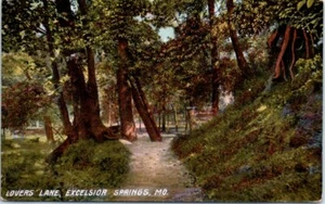 1909 MO Cartolina Lover's Lane Excelsior Springs Missouri 1900s Pubblicata - Foto 1 di 2