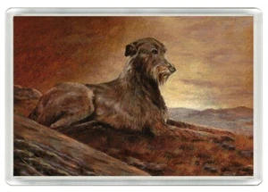 IRISH WOLFHOUND LOVELY DOG ART PRINT NOVELTY ACRYLIC FRIDGE MAGNET GREAT GIFT - Picture 1 of 1