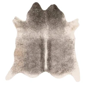 LOLOI II Area Rug 3'10"x5' Animal Print Transitional Grand Canyon Grey/Ivory - Picture 1 of 5