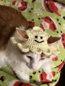 Haustier Katze süßer Hut, Handarbeit gehäkelt Halloween BOO!! - Bild 1 von 4