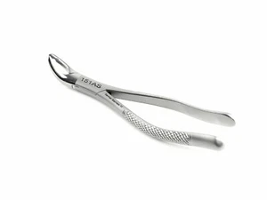 151AS Atraumatic Extracting Forceps Serrated Lower Anteriors Split Beaks German  - Picture 1 of 7