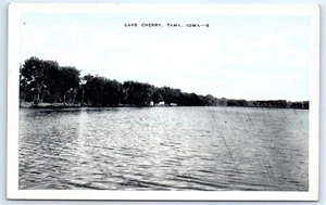 Postcard IA Tama Lake Cherry Vtg B&W View C6 - Picture 1 of 2