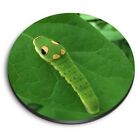 1X Round Fridge Mdf Magnet Spicebush Swallowtail Caterpillar Insect #52106
