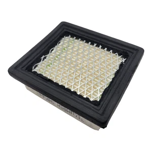 Pulitore filtro aria Tecumseh 36046 OH195EA 20060 31301 31302 31304 OEM originale - Foto 1 di 10