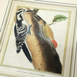 Grabado antiguo pintado a mano por Martinet - Pic Du Canada/Senegal - 1780 - Imagen 1 de 9