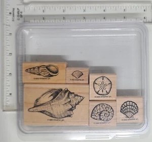 Stampin' Up rubber stamp set, STIPPLE SHELLS 2000 - Picture 1 of 3