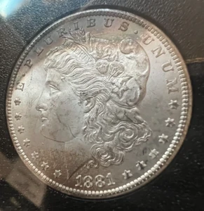 1881-CC $1 DOLLARO D'ARGENTO MORGAN GSA Tesoro con scatola e carta - Data rara - Foto 1 di 9