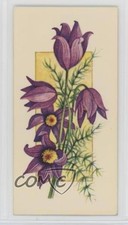 1977 Carreras Craven Black Cat Flowers All the Year Round Tobacco #8 2p7