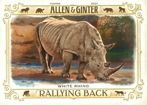 2021 Topps Allen & Ginter - Inserts  - Complete your set