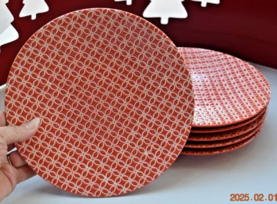 2 ~ Platos de ensalada en relieve Pier 1 Imports LIVINGSTON 8 1/8" rojo/blanco Foto 1 de 4