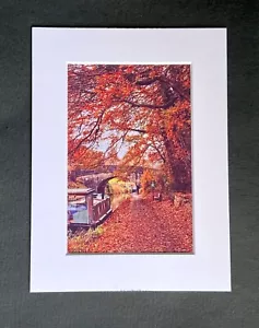 Autumn on Nottingham Canal - Photographic Print with Photo Mount or NO Mount - Picture 1 of 1