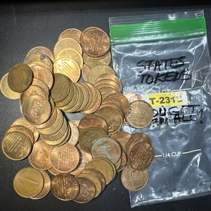 EXONUMIA BLOWOUT: Lot of States Tokens Bronze/Copper Colored T-2313 - Bild 1 von 11