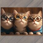 POSTCARD Cat with Glasses Fun Cute Colorful Kitty Unusual Animal Funny Sweet