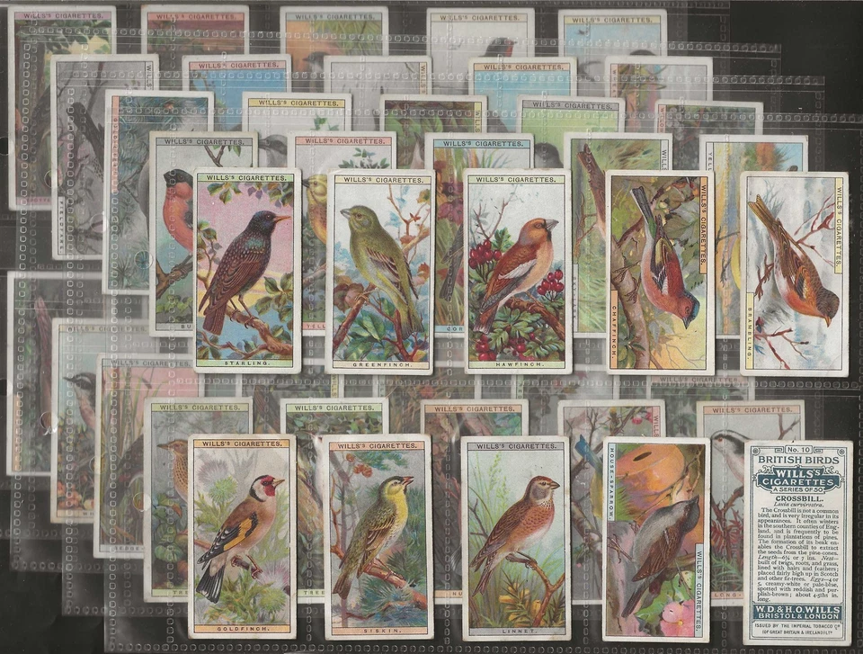 WILLS-FULL SET- BRITISH BIRDS (50 CARDS) - Image 1 of 1