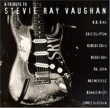 Tribute to Stevie Ray Vaughn von Various Artists | CD | Zustand gut - Bild 1 von 2