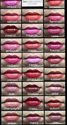 BeautiControl Hydra Brilliance Lipstick Merlot Magnetic Closure DISCONTINUED - Image 1 of 4