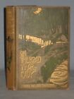 1903 Book On The Road To Arcady By Mabel Nelson Thurston