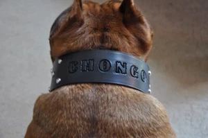 Leather Dog Custom Collar Personalized Free 2" WIDE Custom Quality Leather - Picture 1 of 7