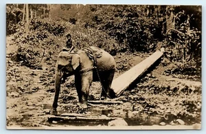 POSTCARD ASIAN ELEPHANTS TRANSPORT IN LOG LOGGING WORKING REAL PHOTOGRAPH RPPC - Picture 1 of 2