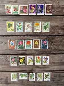 Briefmarken UdSSR Flora Blumen Pflanzen Bäume - Bild 1 von 4