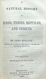 RARE 1848 Bigland NATURAL HISTORY of ANIMALS/BIRDS/FISHES/REPTILES/INSECTS 180pp - Picture 1 of 22