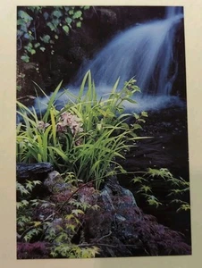 The Bubbling Brook Inn Santa Cruz California. Postcards Continental Size. - Picture 1 of 2
